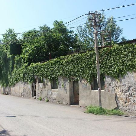 Zarzma Hotel Kutaisi Bagian luar foto