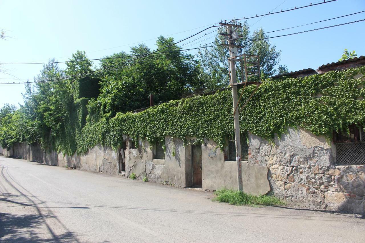 Zarzma Hotel Kutaisi Bagian luar foto