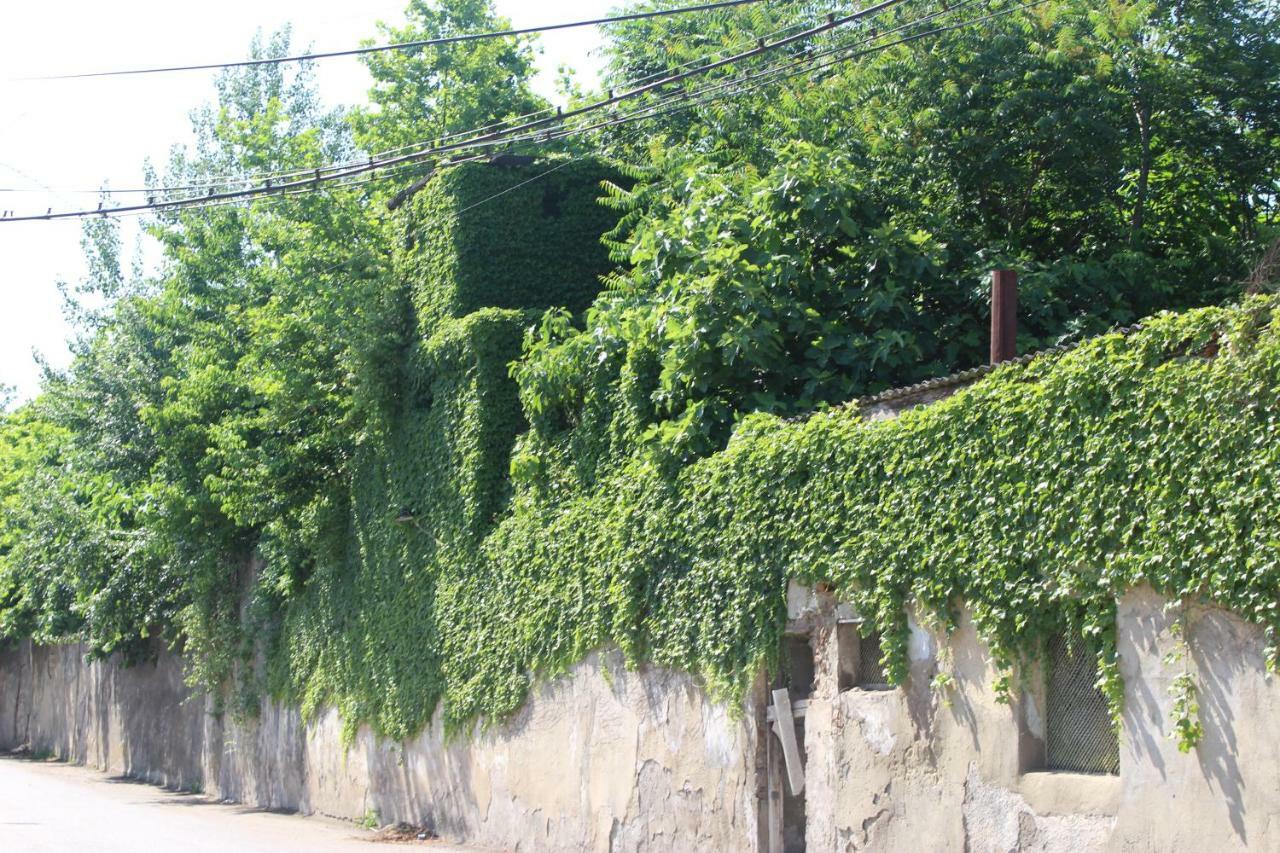 Zarzma Hotel Kutaisi Bagian luar foto